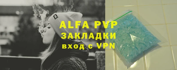стафф Новозыбков
