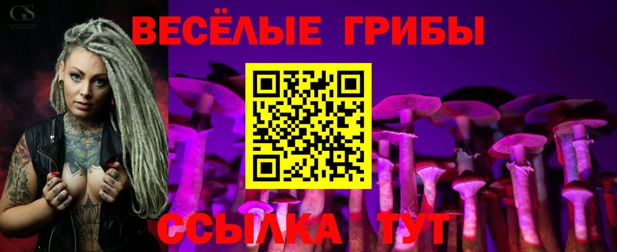 Псилоцибиновые грибы MAGIC MUSHROOMS  Галлюциногенные грибы Psilocybine cubensis  Вход с VPN  Нижневартовск 